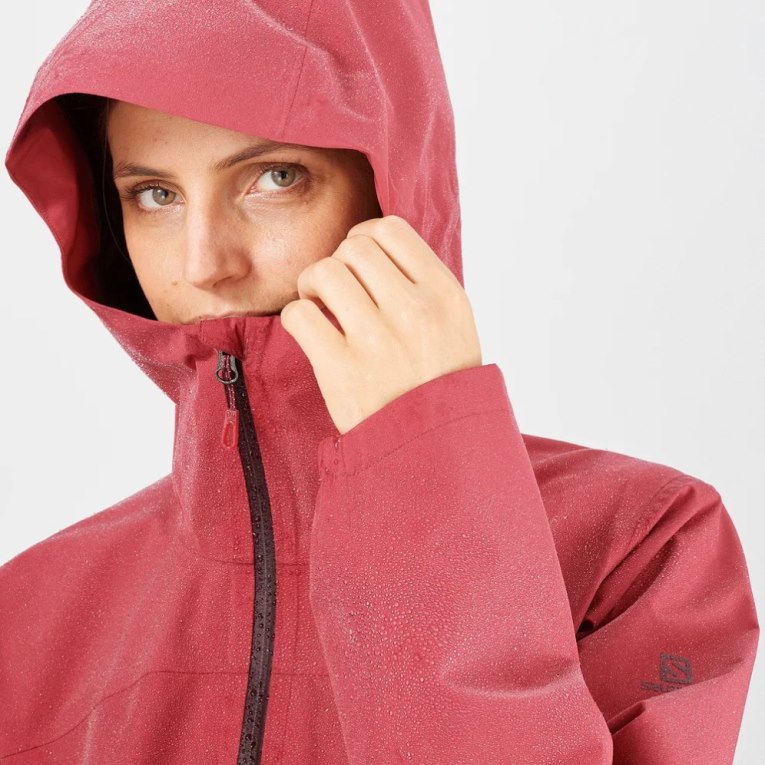 Salomon Outline GTX 2.5L Women's Shell Jackets Red | CA 67G31
